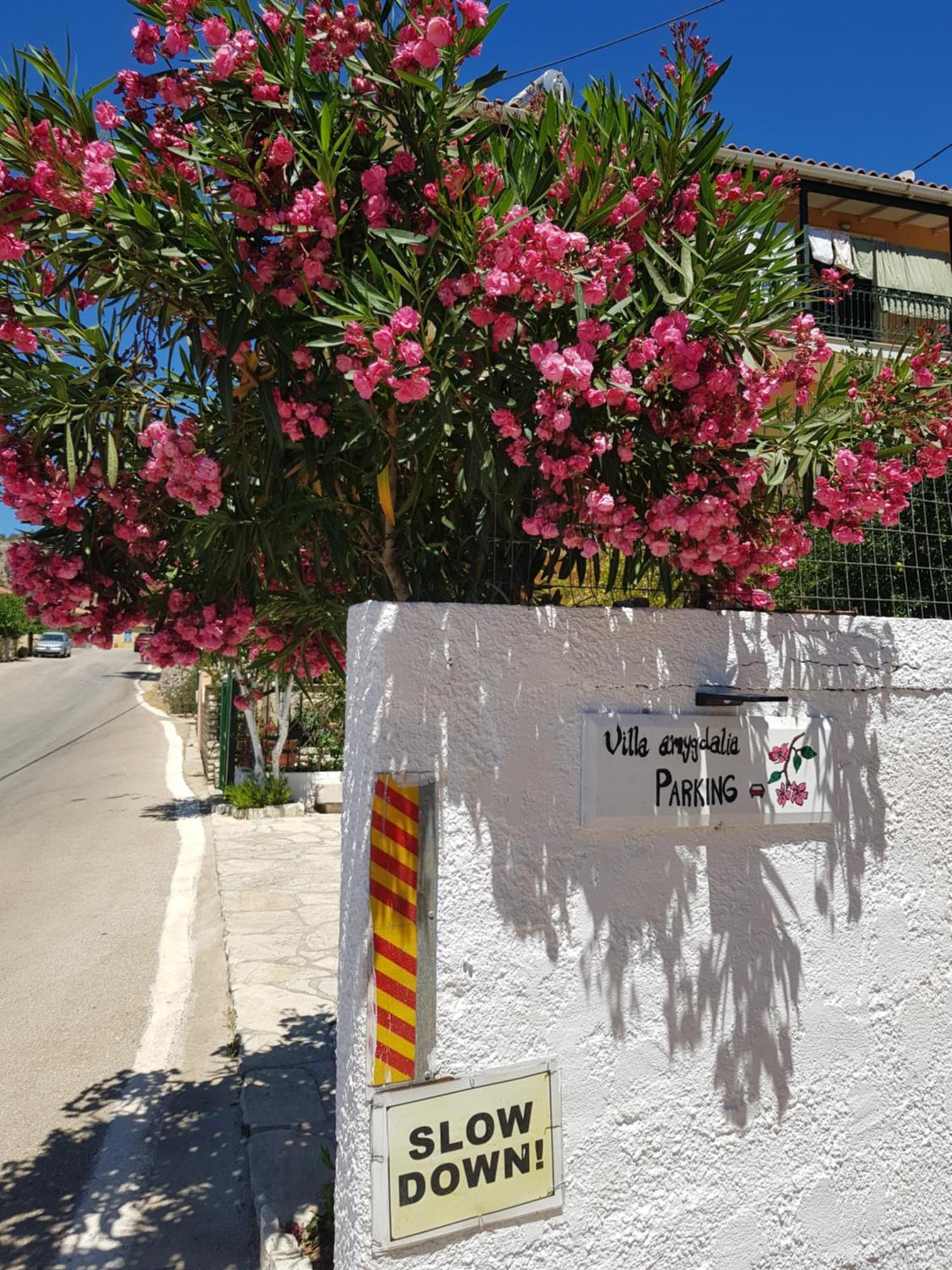 Villa Amygdalia Dilináta 外观 照片